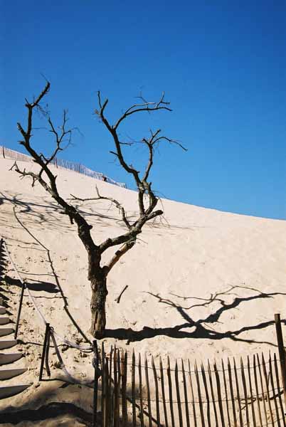 La Dune du Pyla 895
