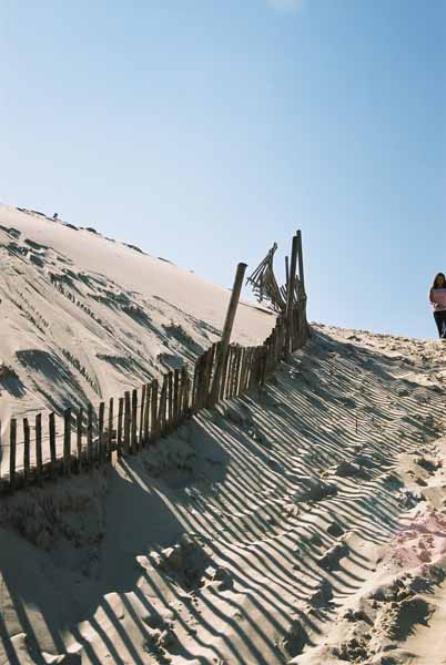 La Dune du Pyla 898