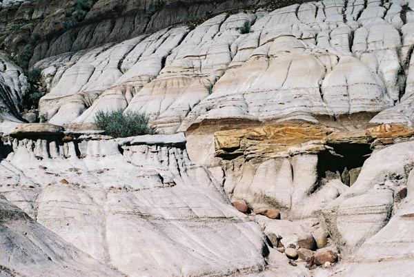 Alberta Badlands Hoodoos 9
