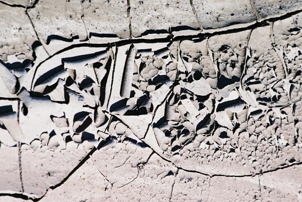 Cracked Mud 5