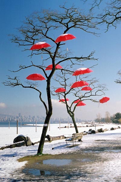 Red Umbrellas 5