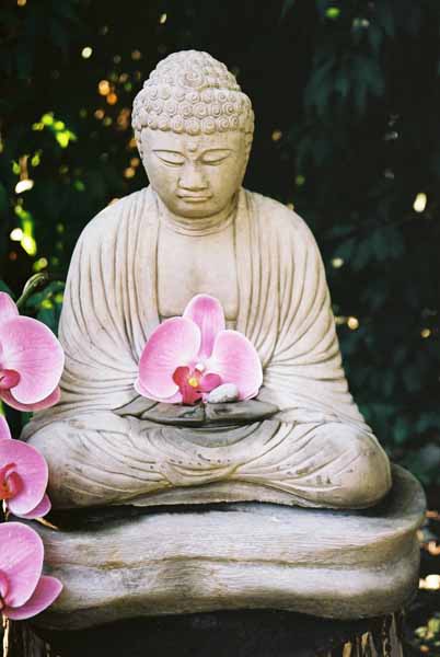 Buddha 10