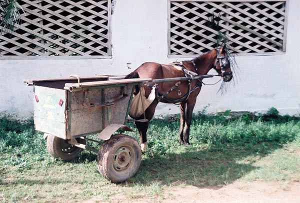 Vinales 21