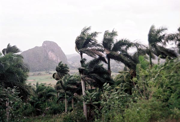 Vinales 23