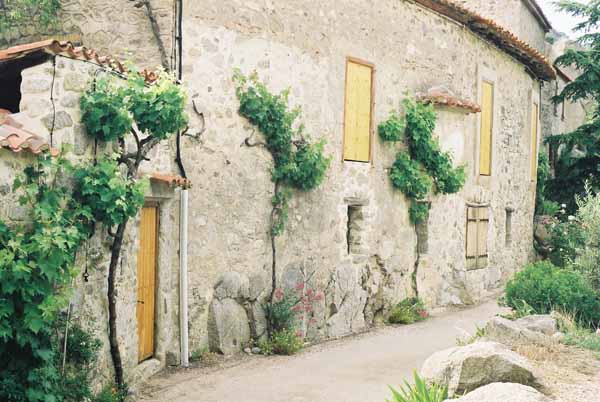 Walls and Windows 139