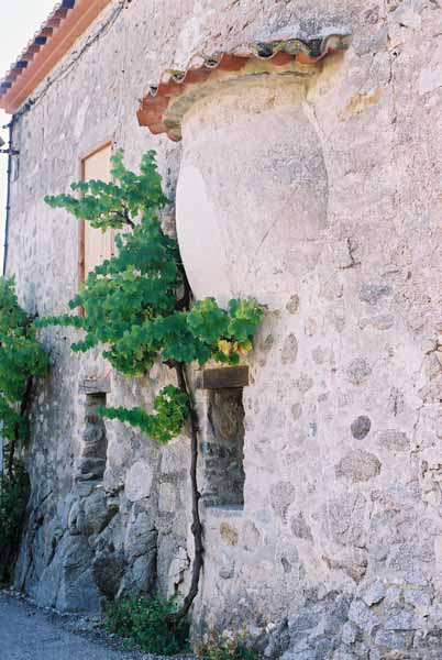 Walls and Windows 142