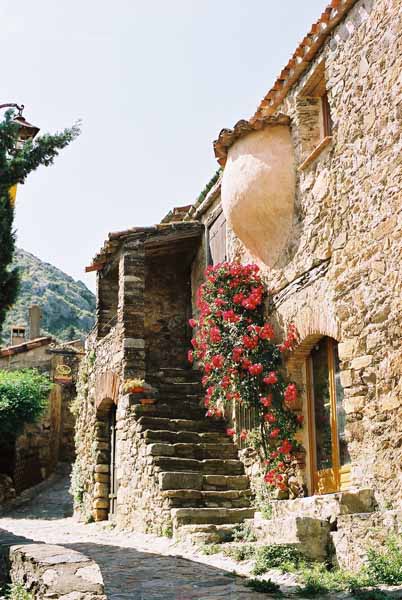 Walls and Windows 143