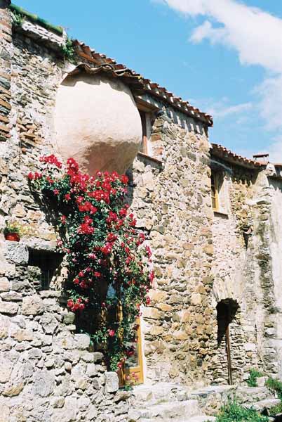 Walls and Windows 144