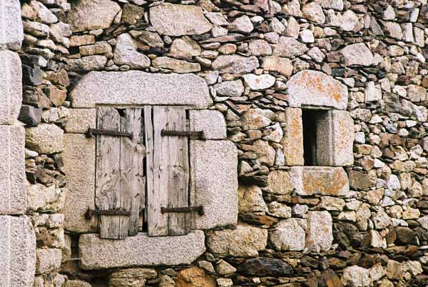 Walls and Windows 165