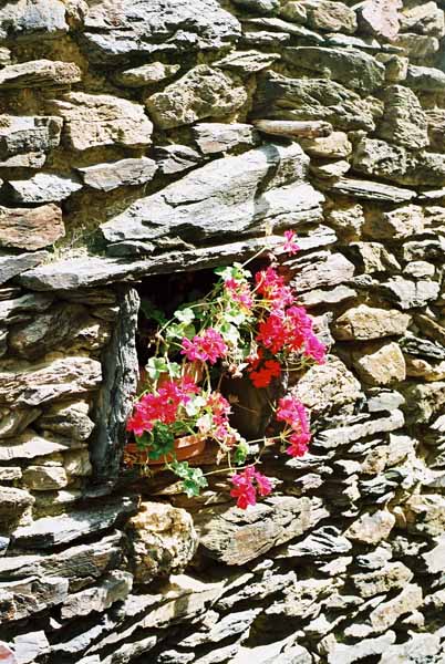 Walls and Windows 172