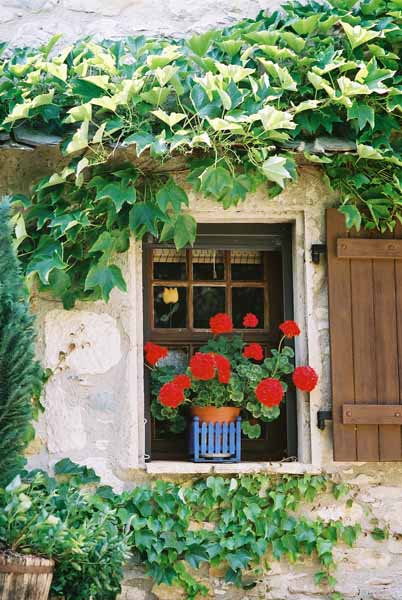 Walls and Windows 174