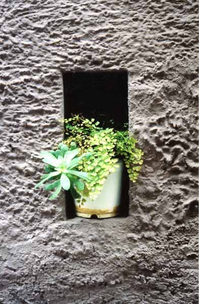 Walls and Windows 176