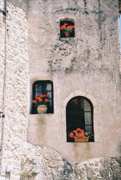 Walls and Windows 183