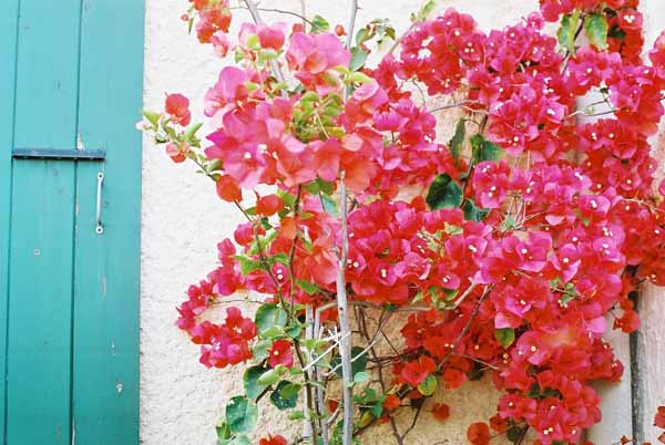 Walls and Windows 187