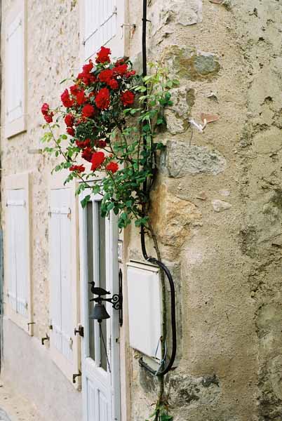 Walls and Windows 192