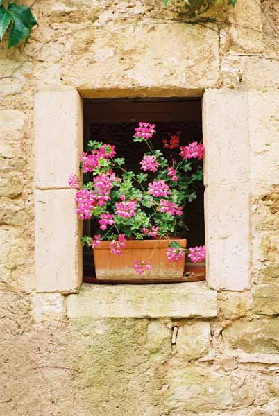 Walls and Windows 195