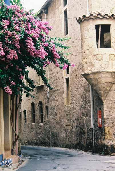 Walls and Windows 196