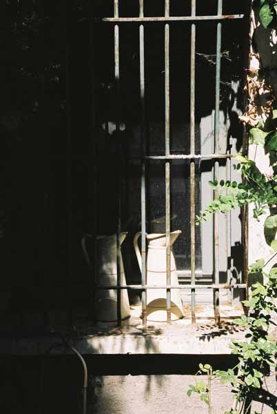 Walls and Windows 202