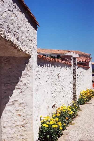 Walls and Windows 205