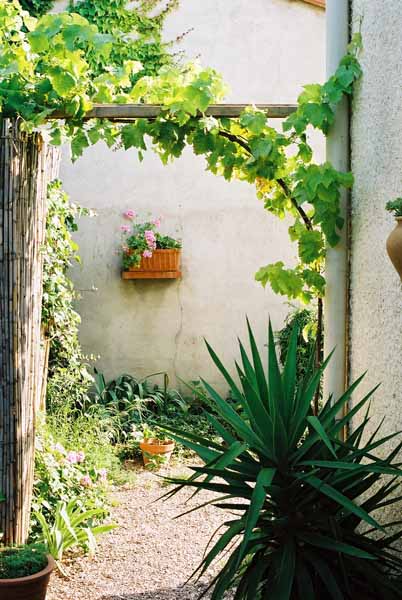 Walls and Windows 206