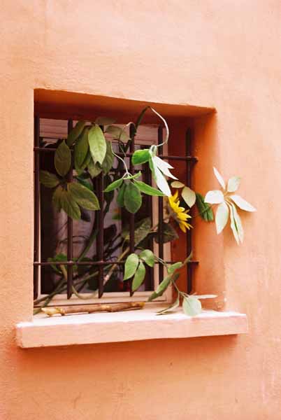 Walls and Windows 207