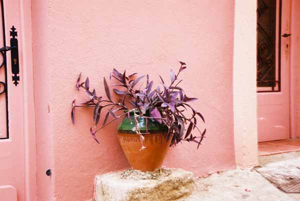 Walls and Windows 208