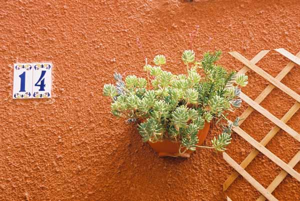 Walls and Windows 209