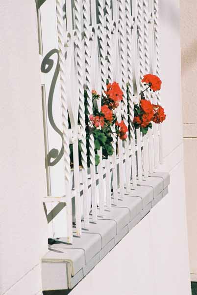 Walls and Windows 211