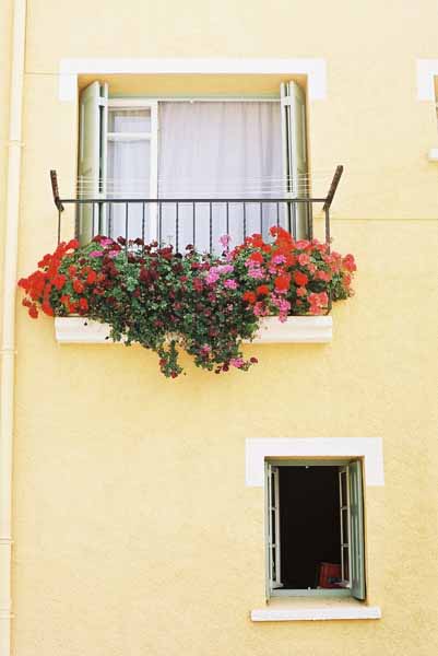 Walls and Windows 213