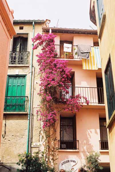 Walls and Windows 215