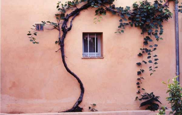 Walls and Windows 221