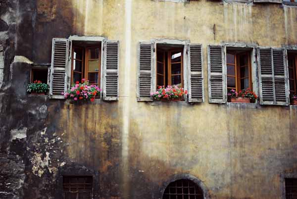 Walls and Windows 224