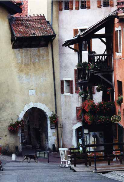 Walls and Windows 230