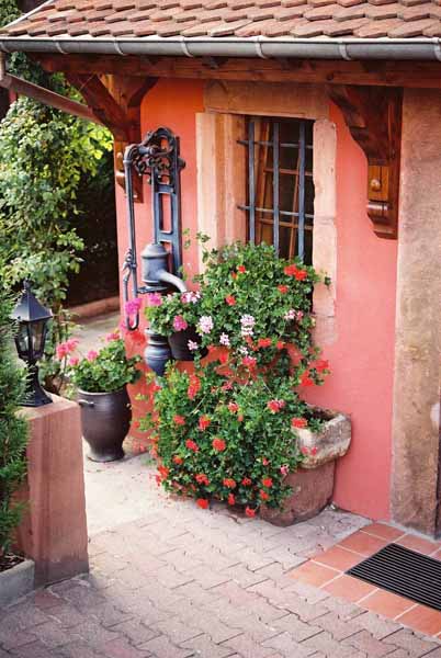 Walls and Windows 233