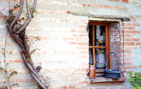 Walls and Windows 237