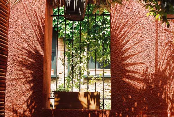 Walls and Windows 244