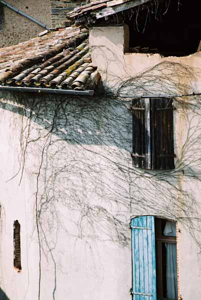 Walls and Windows 245