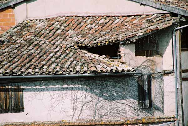 Walls and Windows 246