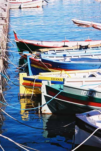 Fishing Boats 607