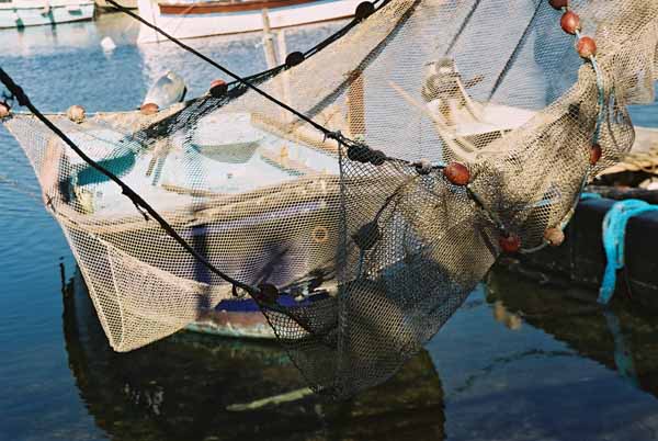 Fishing Nets 621