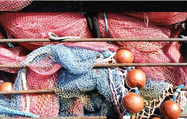 Fishing Nets 637