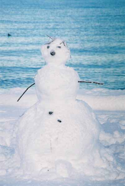 Snowman 1093