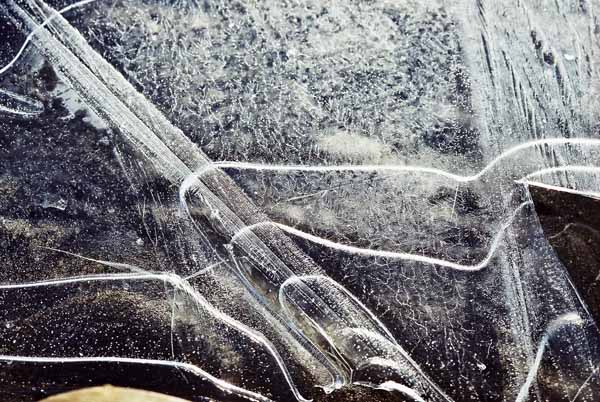 Ice Patterns 1113