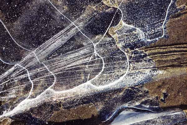 Ice Patterns 1114