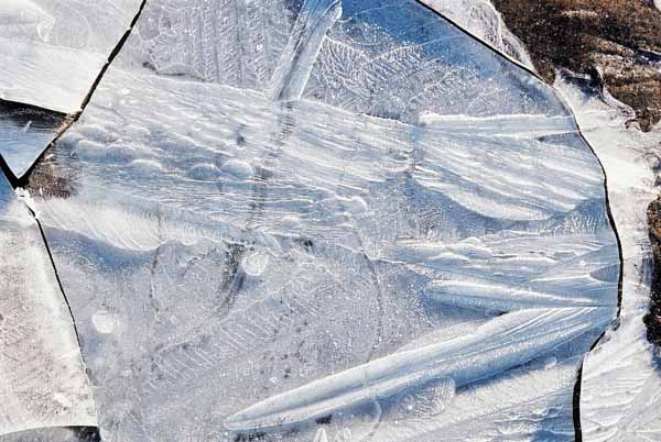 Ice Patterns 1115
