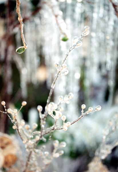Winter Jewels 1138