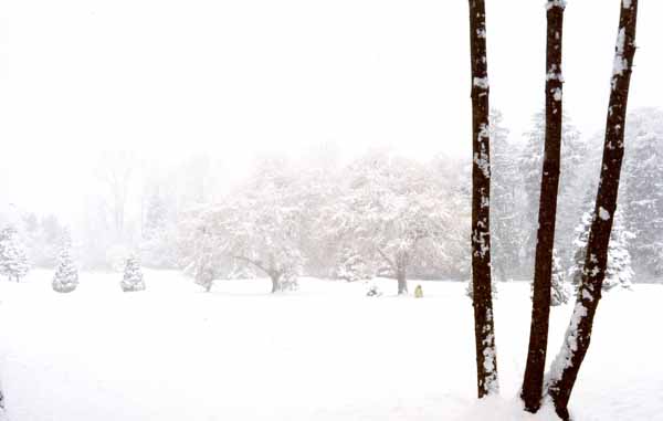 Golf Course in Snow 1164