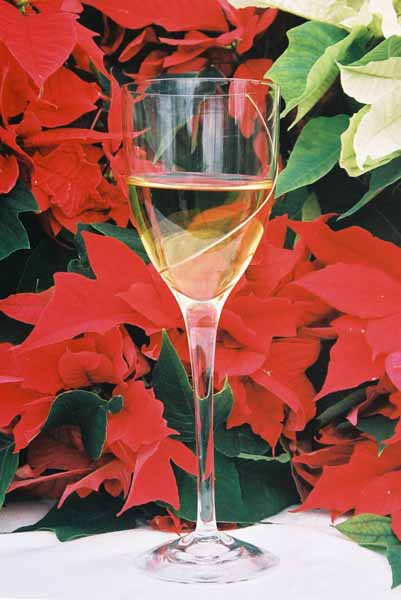 Christmas Cheer 1238