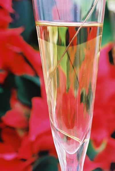 Christmas Cheer 1239