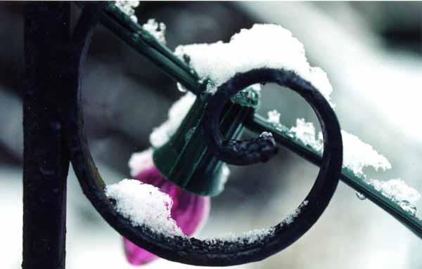 Christmas Light 1244